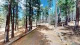 12 Camino Sur Drive - Photo 33
