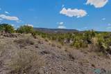 49 Lobo Creek Road - Photo 36