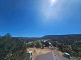 49 Lobo Creek Road - Photo 41