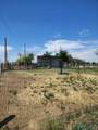 58 Fisk - Photo 41