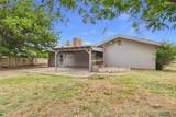24 Forest Drive - Photo 41