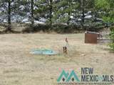 35 Mays Road - Photo 9