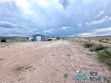 832 Calamity Jane Drive - Photo 42