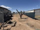 4010 540 Loop - Photo 31