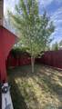 127 Rio Grande St - Photo 20