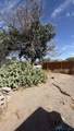 127 Rio Grande St - Photo 22