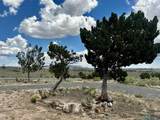 3180 Us Highway 60 - Photo 31