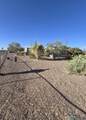3011 Alamgordo St - Photo 33