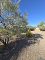 3011 Alamgordo St - Photo 34