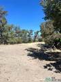 25 Turquoise Trail - Photo 18