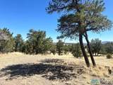 25 Turquoise Trail - Photo 19