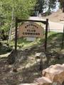 25 Jackson Hole Rd - Photo 19