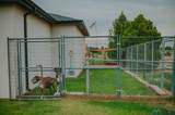 405 Walker Farm Road - Photo 50