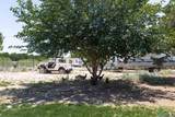 1509 Papershell Road - Photo 45