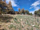53 Horseshoe Trail - Photo 24
