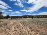 53 Horseshoe Trail - Photo 42
