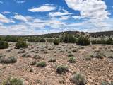 53 Horseshoe Trail - Photo 43