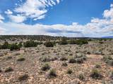 53 Horseshoe Trail - Photo 44