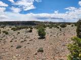 53 Horseshoe Trail - Photo 45