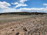 53 Horseshoe Trail - Photo 46