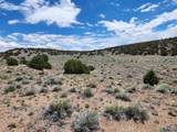 53 Horseshoe Trail - Photo 47