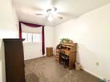 33 Mulberry Drive - Photo 19