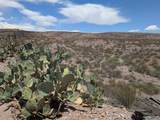 327 Animas Creek Road - Photo 39