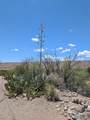 327 Animas Creek Road - Photo 42