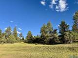 TBD Pd 1788 Road - Photo 2