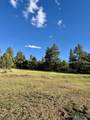 TBD Pd 1788 Road - Photo 3