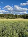 TBD Pd 1788 Road - Photo 4