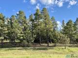 TBD Pd 1788 Road - Photo 7