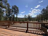 1043 Hwy 48 - Photo 41