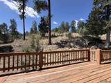 1043 Hwy 48 - Photo 42