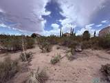300 Rio Grande - Photo 97