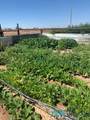 1747 Roosevelt Rd 10 1/2 - Photo 48
