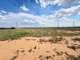1043 Tall Grass Ln - Photo 40