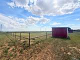 1043 Tall Grass Ln - Photo 41