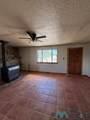 54 Palomino - Photo 10