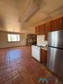 54 Palomino - Photo 12