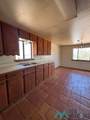 54 Palomino - Photo 13