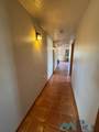 54 Palomino - Photo 14