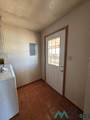 54 Palomino - Photo 22