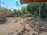 1101 Kenlea Dr - Photo 13