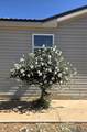 3700 Sumac Trai - Photo 19