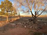 1020 Fork Dr - Photo 34
