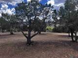 8 Forest - Photo 21