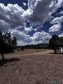 8 Forest - Photo 35