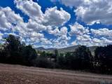 8 Forest - Photo 7