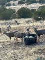 27 Metate - Photo 73